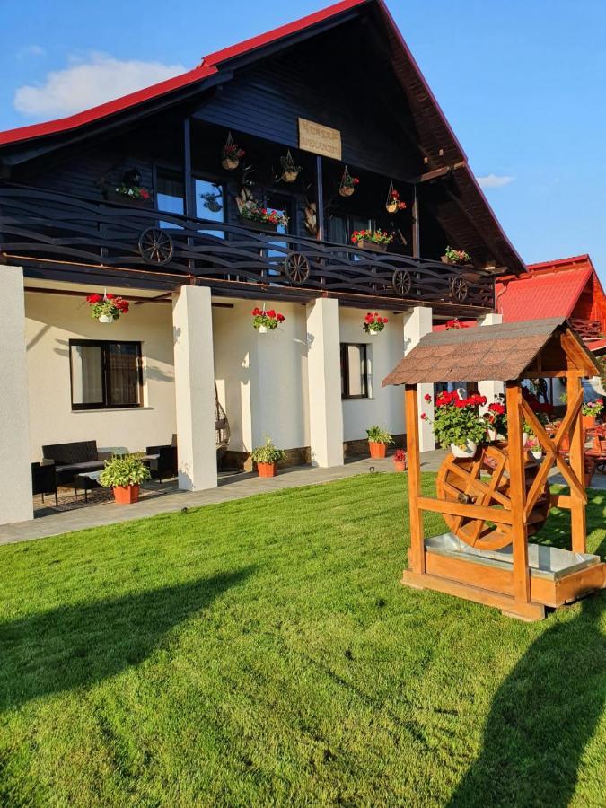 Casa Alexandru - Locul In Care Te Simti Acasa Hotell Viseu de Jos Exteriör bild